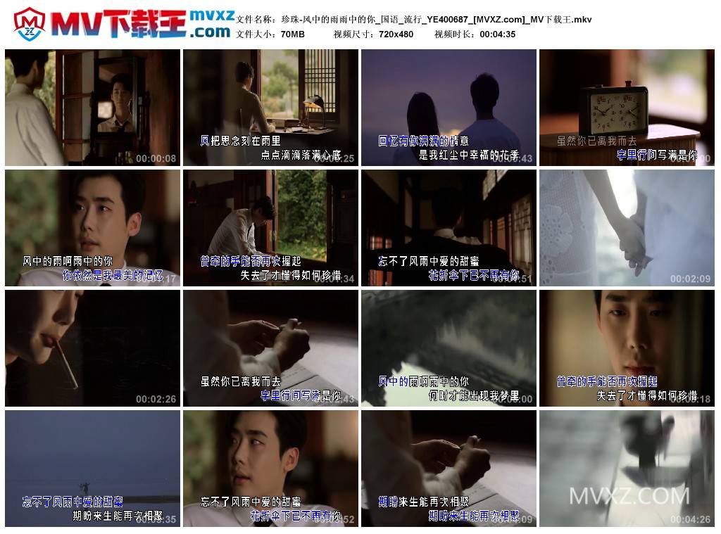 珍珠-风中的雨雨中的你_国语_流行_YE400687